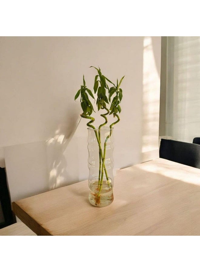 Corrugated Glass Vase, 40 cm, Transparent Wave Vase - Image 3